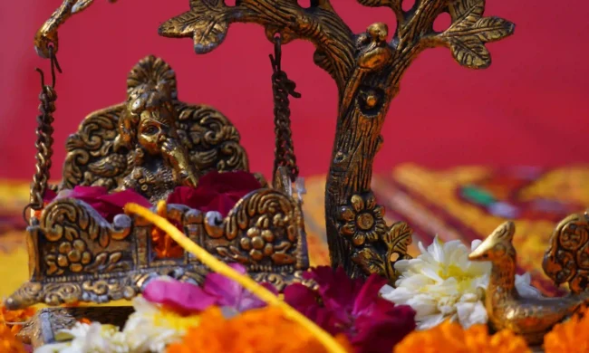 krishna janmashthami celebrations at BMU
