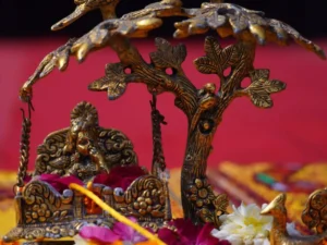 krishna janmashthami celebrations at BMU