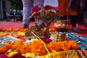 krishna janmashthami celebrations at BMU