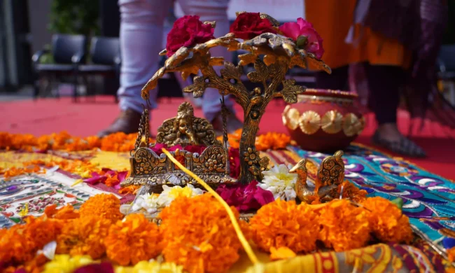 krishna janmashthami celebrations at BMU