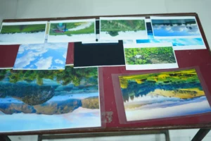 Green art & craft & Nature Snap Competition