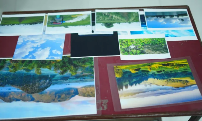 Green art & craft & Nature Snap Competition