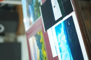 Green art & craft & Nature Snap Competition
